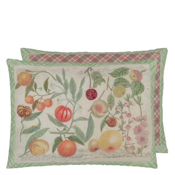 John Derian Oranges Canvas Cushion